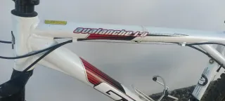 Bicicleta Montaña GT Avalanche 1.0  Blanca