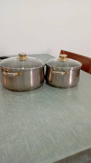 2 Ollas Acero Inoxidable con Tapa