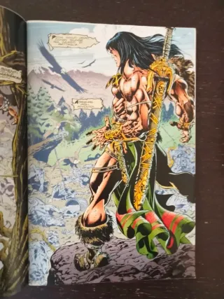 Conan il Barbaro di Claudio Castellini