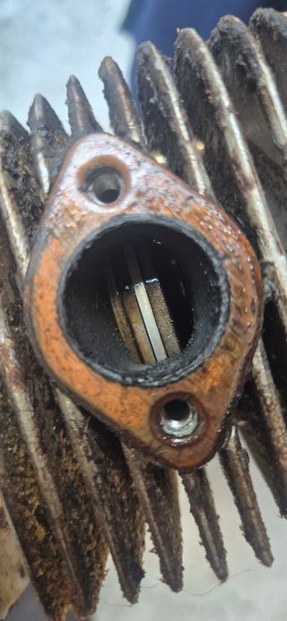 Motosierra Landoni L 75 .