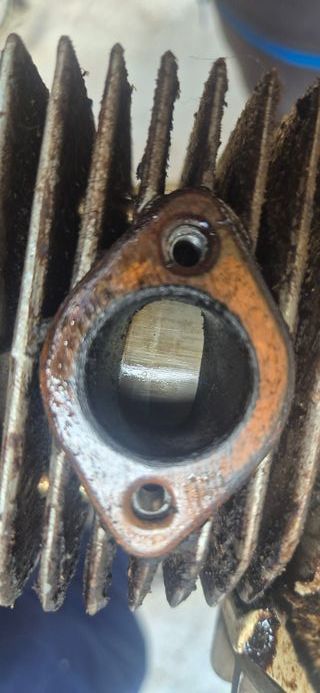 Motosierra Landoni L 75 .