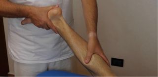 Masajista. Profesional titulado