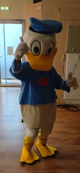 Disfraz Pato Donald