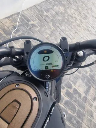 Harley-Davidson Cruiser Negra/Dorada