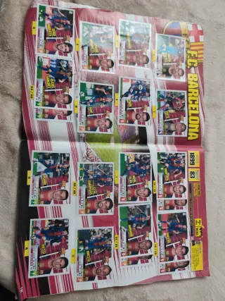 Álbum Cromos Liga BBVA 2013-14 Panini