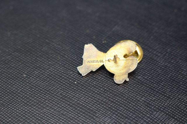 Pin Pelegrin Xacobeo'93.