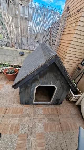 Caseta grande para perro