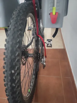 Bicicleta adulto con silla infantil