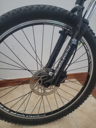 Bicicleta adulto con silla infantil