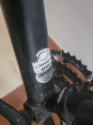 Bicicleta adulto con silla infantil