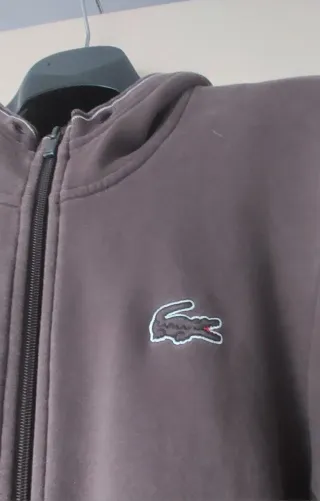 Felpa con cappuccio LACOSTE marrone taglia 5 ( L )