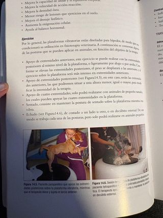 Manual de Fisioterapia en Pequeños Animales