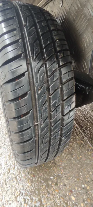 Carro de doble eje cerrado en chapa