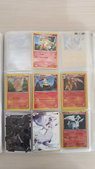 Álbum de cartas Pokémon