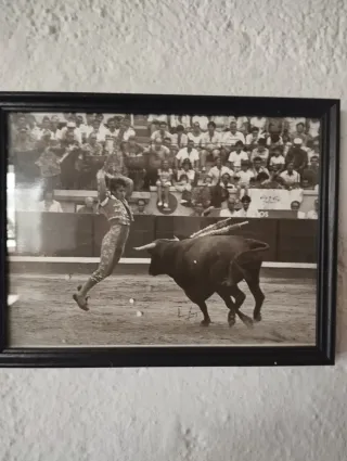 Cuadro de toros enmarcado