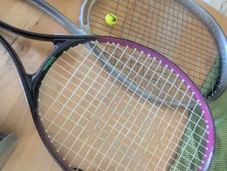 Pack Tenis: Raquetas Prince/Wilson y Pelotas nueva