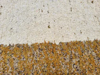 Alfombra de lana beige y dorada