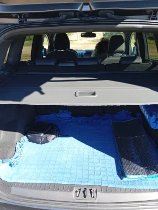 Ford Kuga St Line 2019