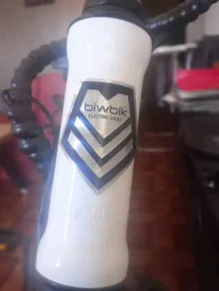 Bicicleta eléctrica biwbik