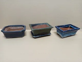 Lote de macetas de cerámica para bonsai 15cm x 10c