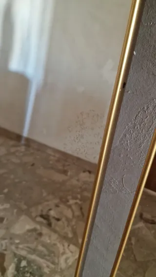 Coppia Specchi da Parete Verticali con Cornice Oro