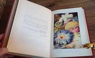 LIBRO ANTIGUO HISTORIA NATURAL (1907)