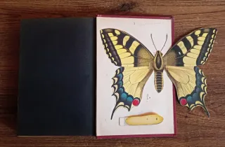 LIBRO ANTIGUO HISTORIA NATURAL (1907)