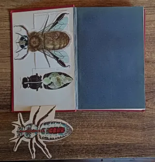 LIBRO ANTIGUO HISTORIA NATURAL (1907)