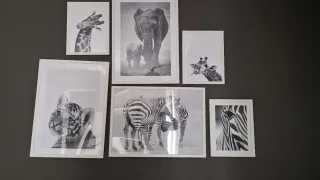 Set 6 Láminas Animales Decoración