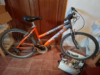 BICICLETA ADULTO ALUMINIO