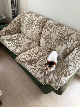 Sofá de 2 plazas (gata no incluida)