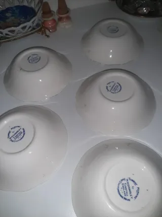 Set 5 Ciotole Ceramica Blu e Bianche