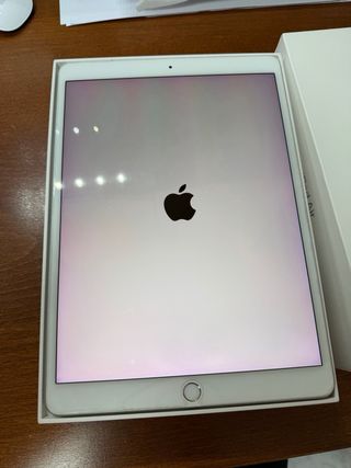 iPad Air 3 Wifi+cellular 256GB + Apple Pencil