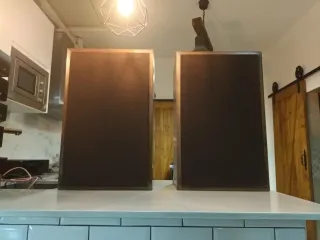 Altavoces Vintage Miniwatt Gran Formato 5 vias