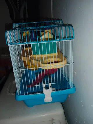 Jaula para hámster con accesorios