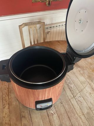 Arrocera Profesional Remo