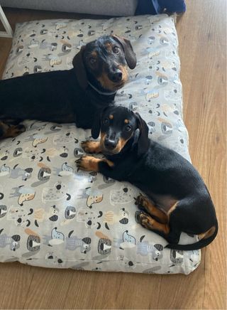 Cama XXL, artesanal, desenfundable y lavable