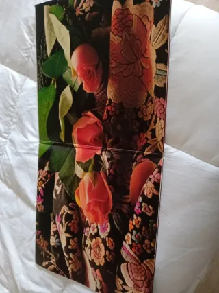 Vinilo Los 24 Grandes Éxitos de La Zarzuela