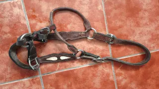 Se vende lote de cabezadas de cuadra