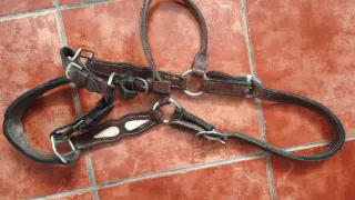 Se vende lote de cabezadas de cuadra