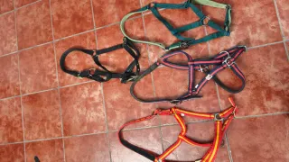 Se vende lote de cabezadas de cuadra