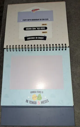 Álbum Mr wonderful Sobremesa 12 Meses Aventuras