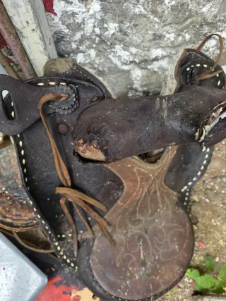 Montura de cuero para caballo