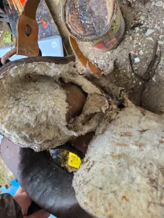 Montura de cuero para caballo