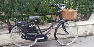 Bicicletta Holland usata