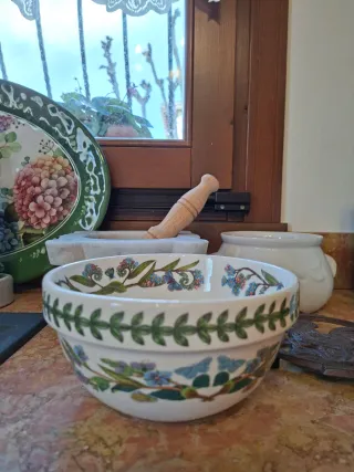 Ciotola Portmeirion Botanic Garden