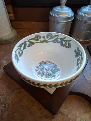 Ciotola Portmeirion Botanic Garden