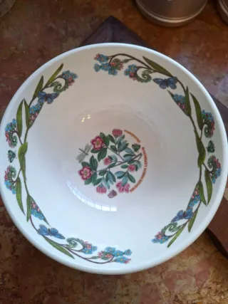 Ciotola Portmeirion Botanic Garden