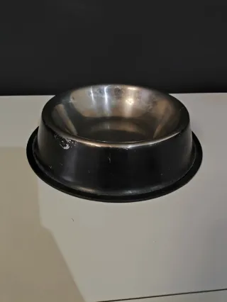 Cuenco para mascotas