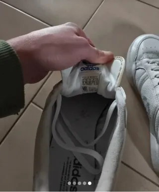 Adidas Continental Uomo Bianche